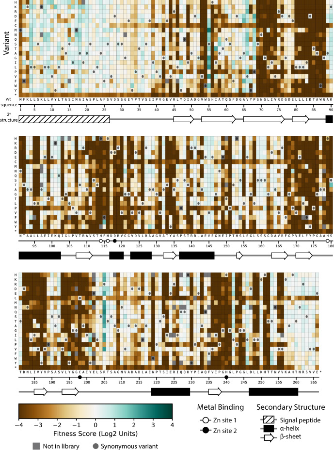 Figure 3—figure supplement 2.