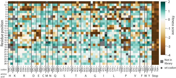 Figure 5—figure supplement 2.