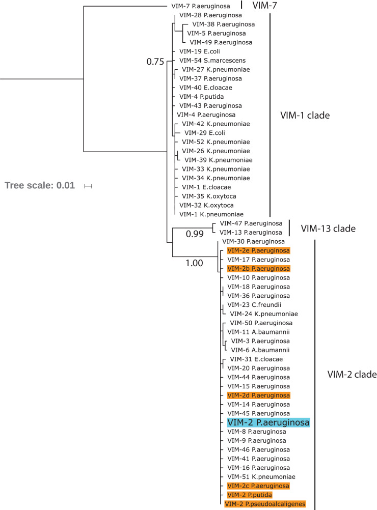 Figure 8—figure supplement 1.