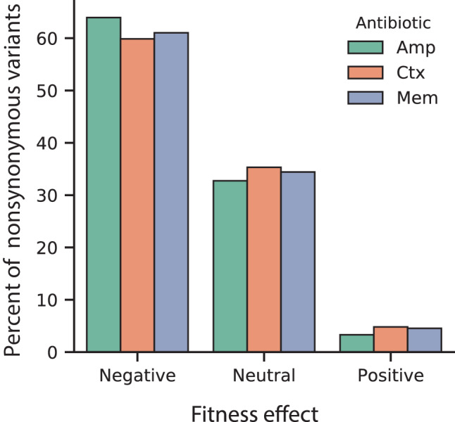 Figure 2—figure supplement 2.