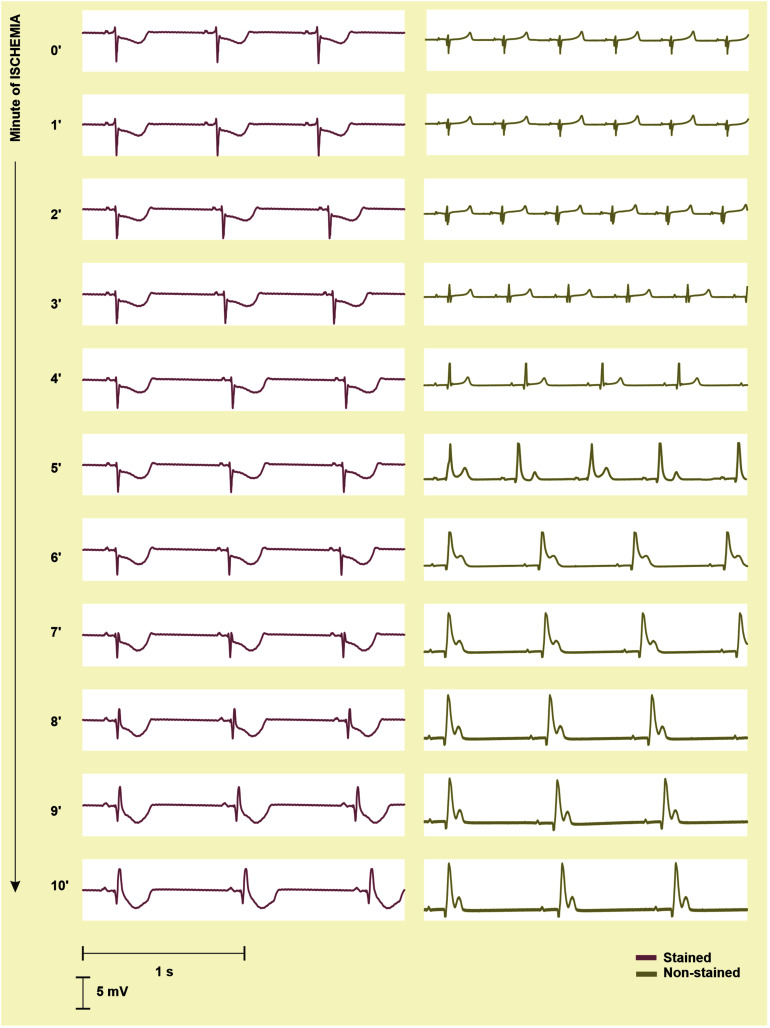 FIGURE 8