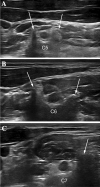 Fig. 3
