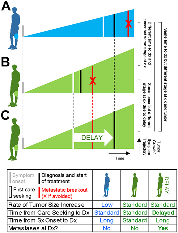 Figure 1: