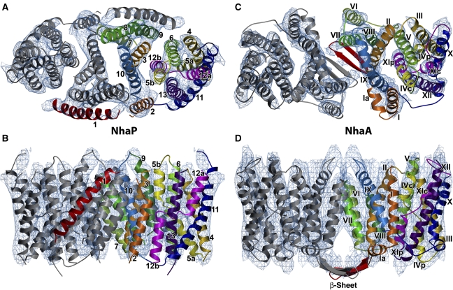 Figure 4