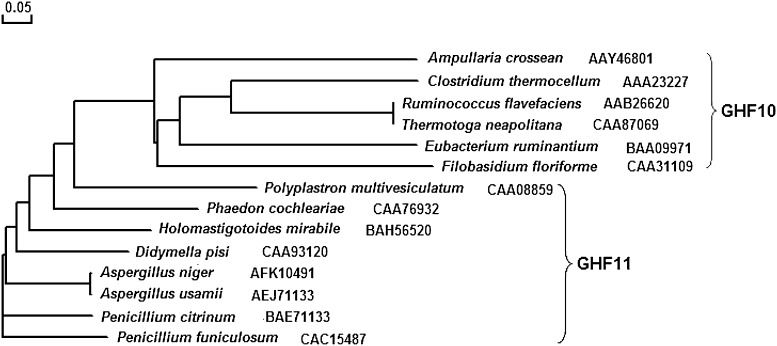 Fig. 4