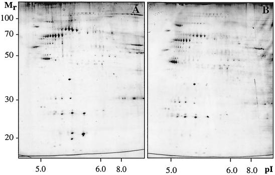 FIG. 5