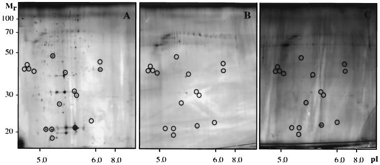 FIG. 6