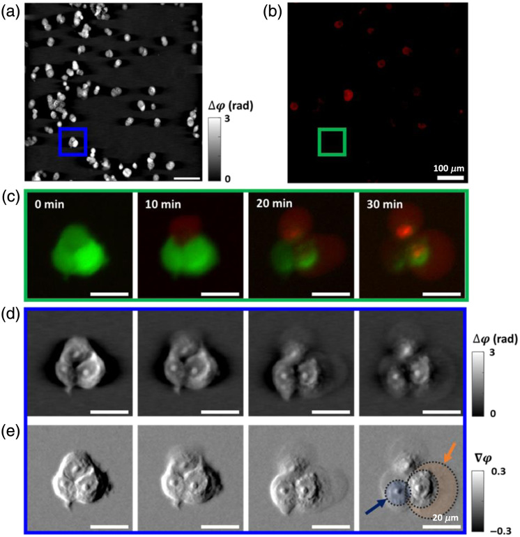 Fig. 4