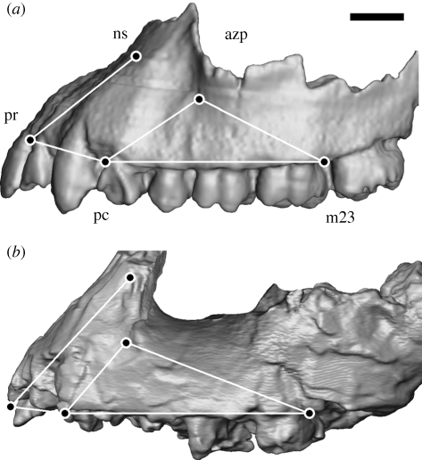 Figure 1.