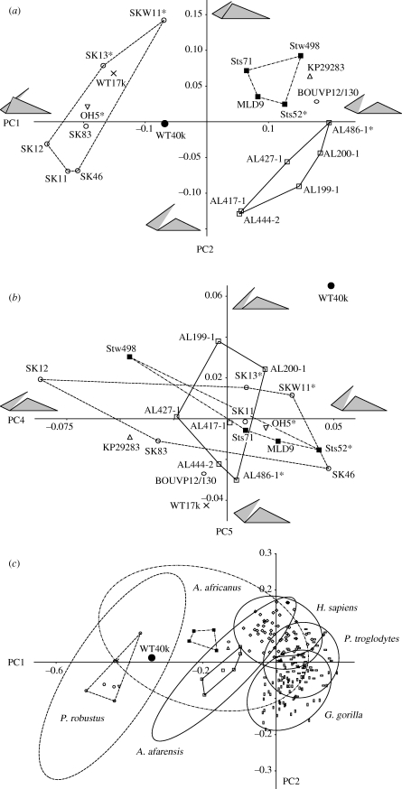 Figure 3.