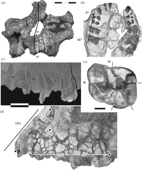 Figure 2.