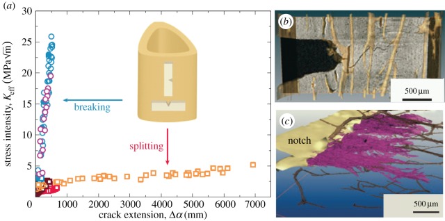 Figure 16.