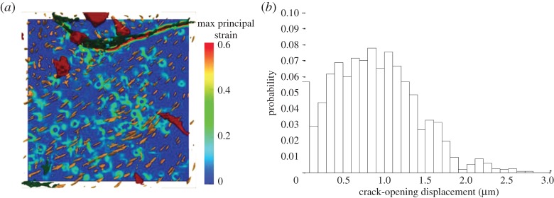 Figure 14.