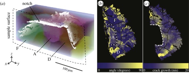 Figure 12.