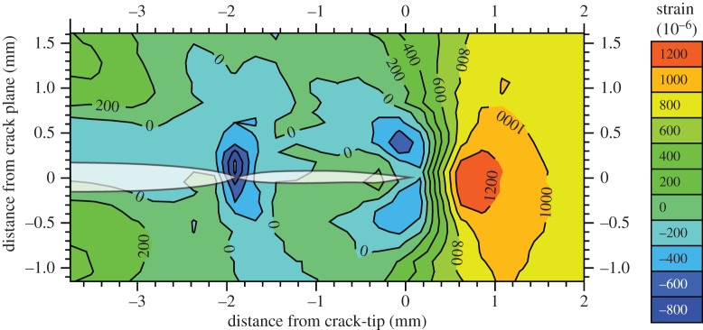 Figure 9.