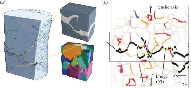 Figure 15.