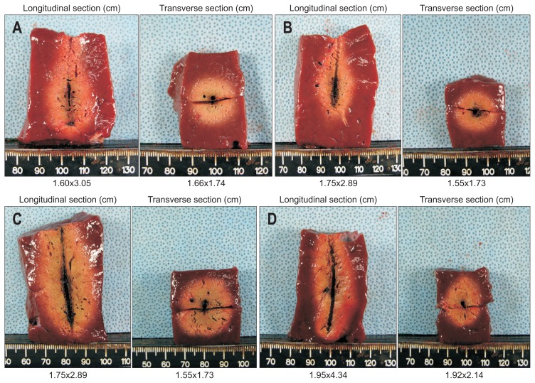 Fig. 5