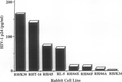 graphic file with name pnas01091-0126-a.jpg