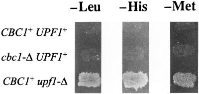 FIG. 6