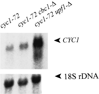 FIG. 7