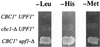 FIG. 6
