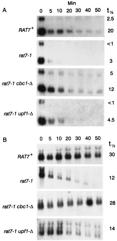 FIG. 8