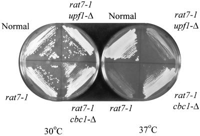 FIG. 9