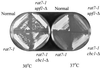 FIG. 9