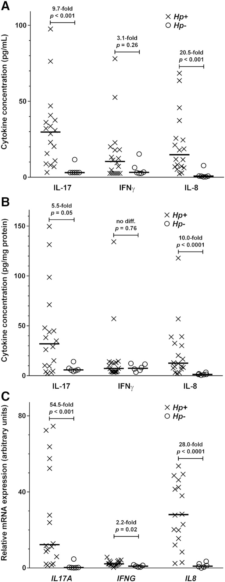 Fig. 2