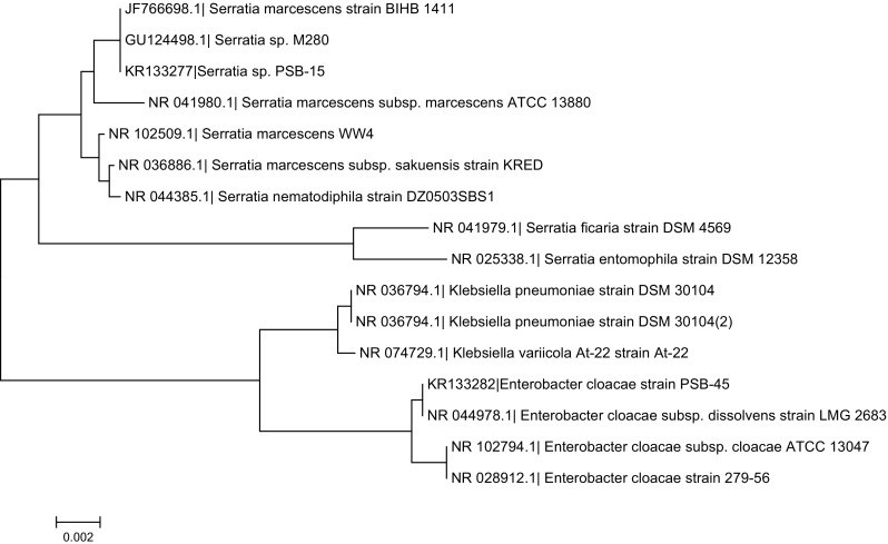 Fig. 3