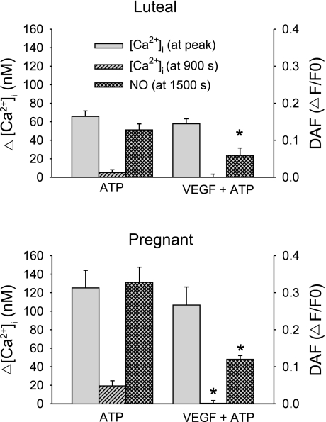 Fig. 8.