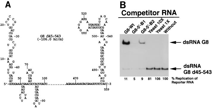 FIG. 6