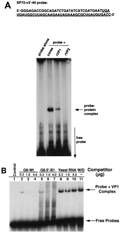 FIG. 8