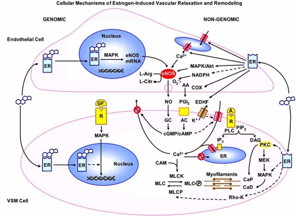 Fig. (1)