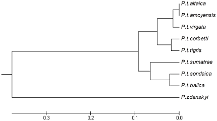 Figure 9