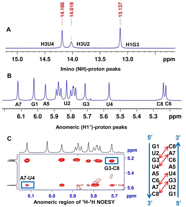 Figure 5.