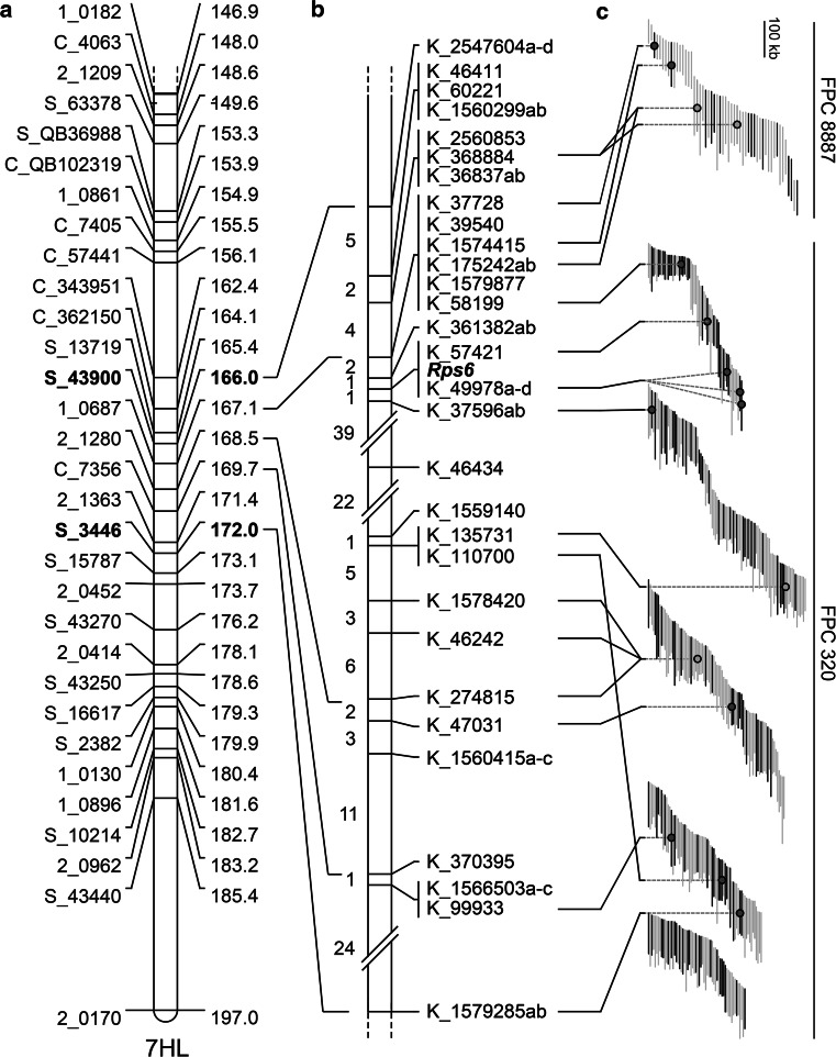 Fig. 4