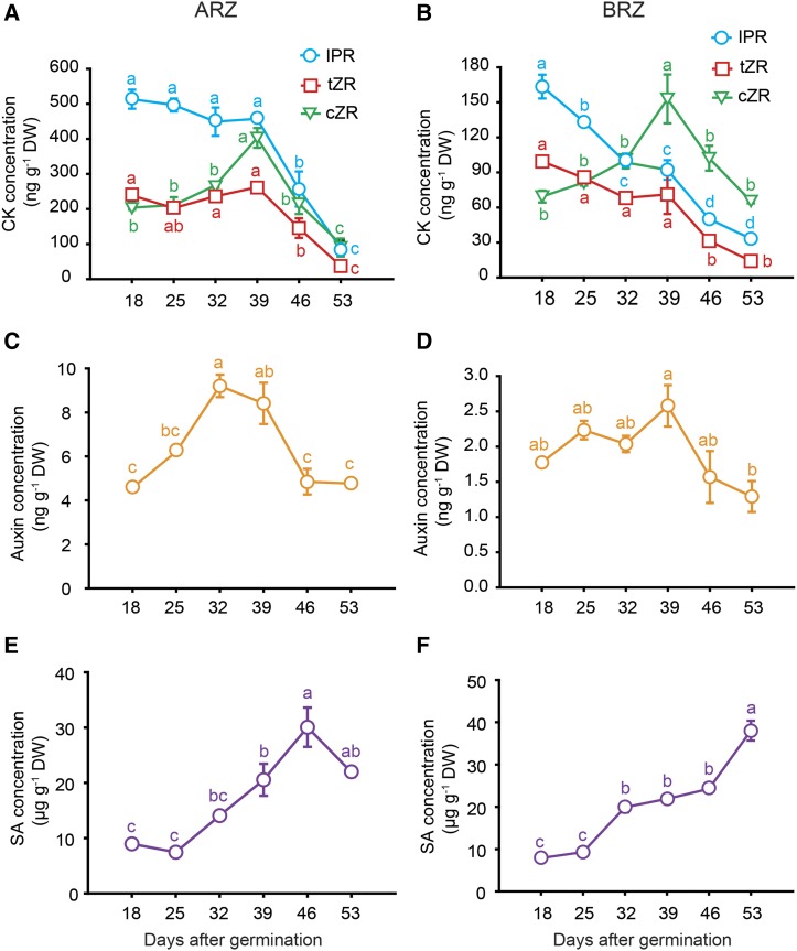 Figure 6.