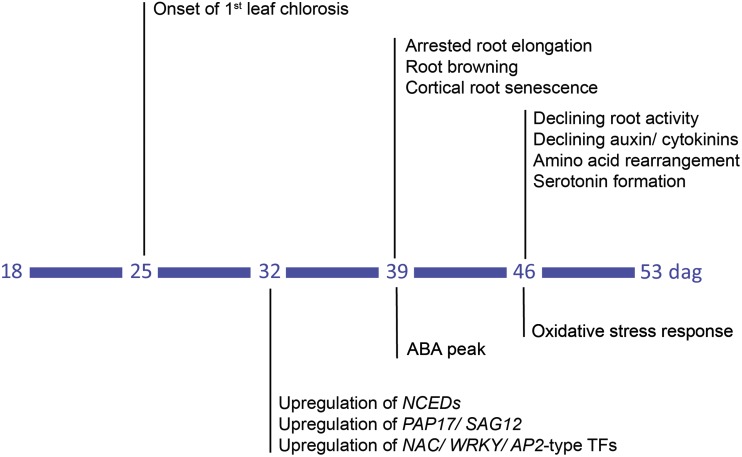 Figure 10.