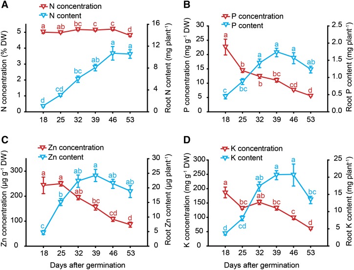 Figure 5.