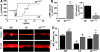 F<sc>igure</sc> 6.