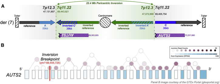 Figure 4