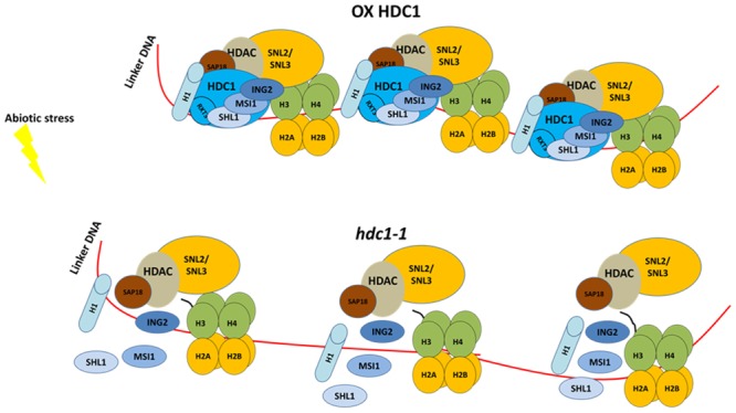 FIGURE 4