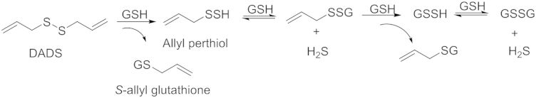 Scheme 3