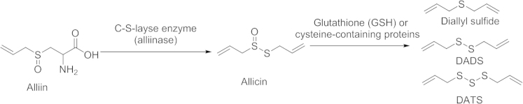 Scheme 2