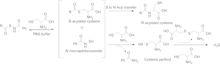 Scheme 4