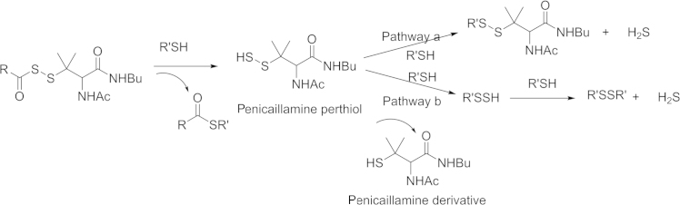 Scheme 5