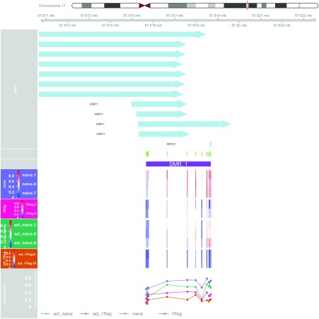 Figure 10. 