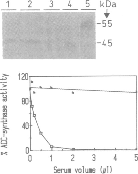 graphic file with name pnas01037-0459-a.jpg