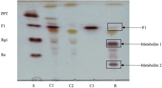 Fig. 2